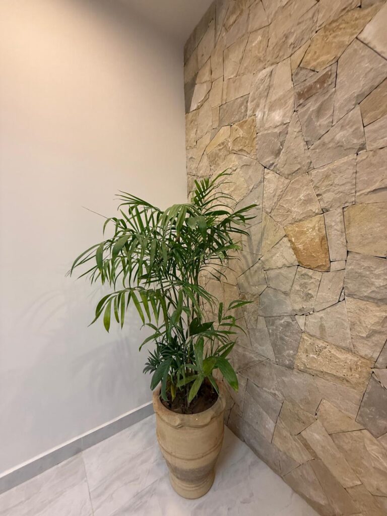 WhatsApp Image 2026-02-10 at 22.19.03 (1)