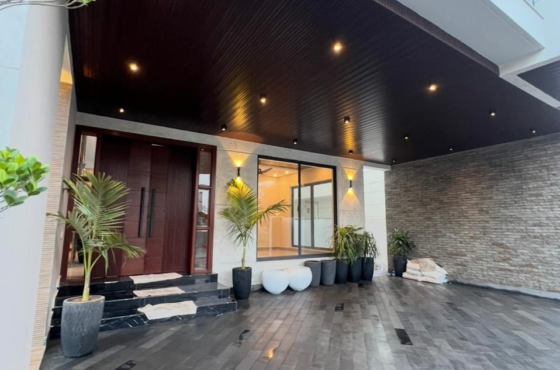 Luxurious House